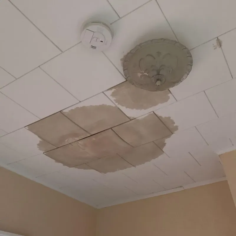 Ceiling Water Damage Repair in Jackson County, NC