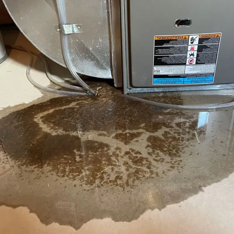 Pipe Burst and Leak Restoration in Jackson County, NC
