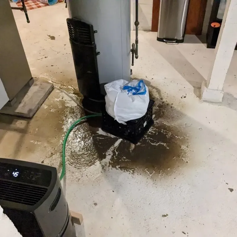 Sewage Backup Cleanup Service in Jackson County, NC